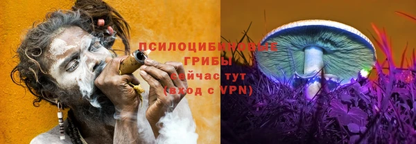 марки lsd Алексеевка
