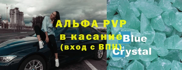 PSILOCYBIN Майский