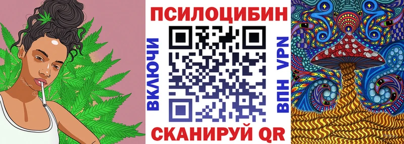 наркошоп  Миасс  Галлюциногенные грибы Psilocybine cubensis 